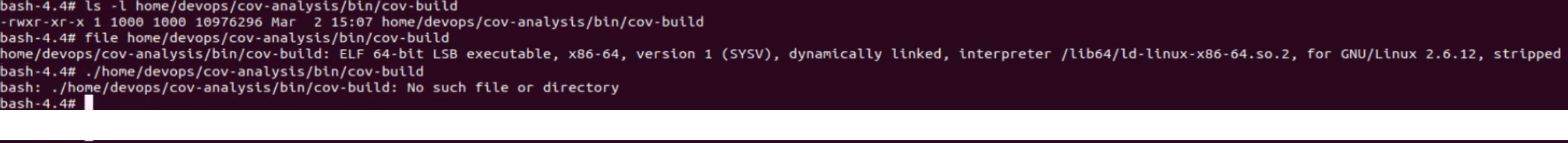Error with Coverity binaries when running from chroot
