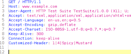 Laser Aim Your Fuzz Testing with Sequence Editing