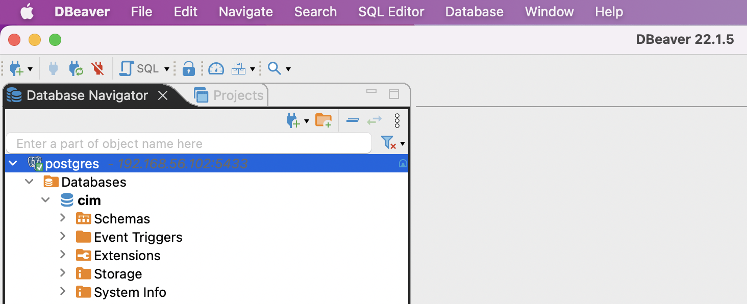 On Using an External Database with Coverity